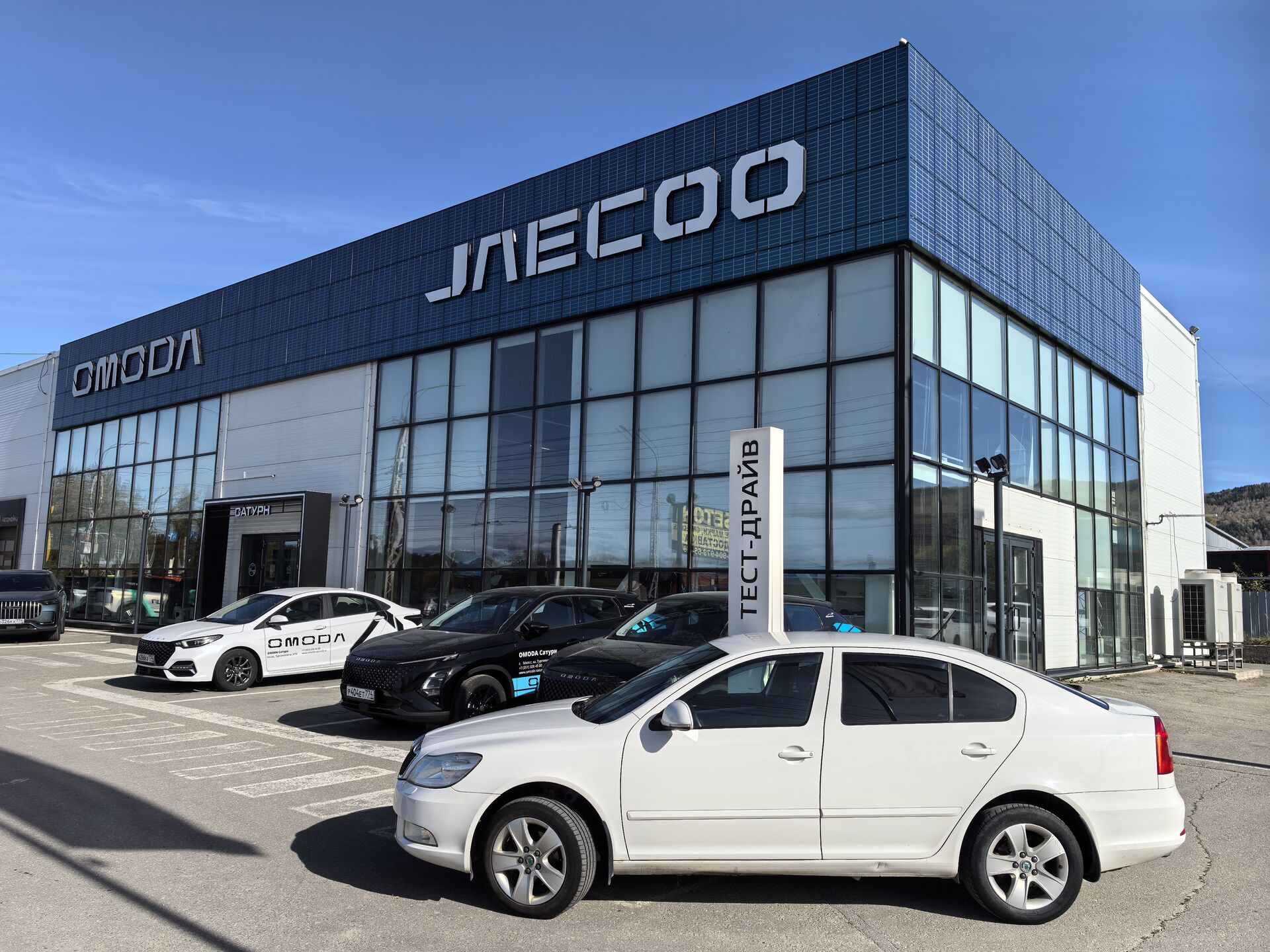 Skoda Octavia, II (A5) Рестайлинг Ambition, 2012, Лифтбек